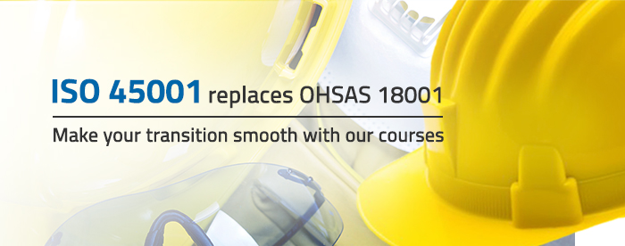 Occupational Health and Safety Management System / ISO 45001 Standard